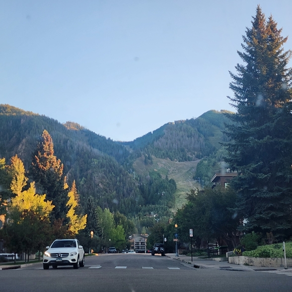 Meet your Posher, Susan - Picture 1 of 1